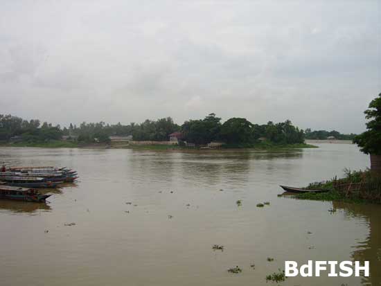 River Nagar falls into river Gur; Location: Singra, Natore