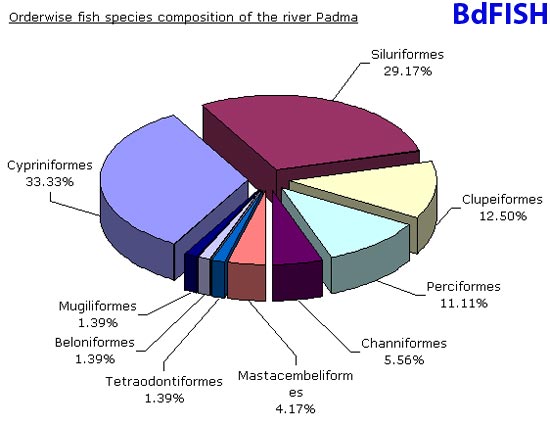 Orderwise fish species composition of the river Padma near Rajshahi
