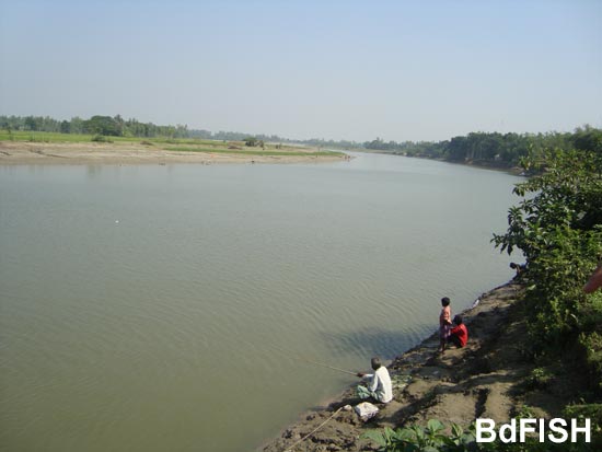 Partial view of River Bangali