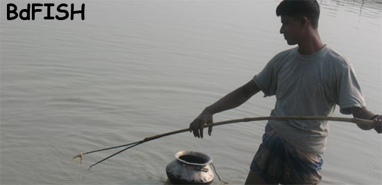 Fishing Gears (wounding) of Halti Beel, Natore – BdFISH Feature