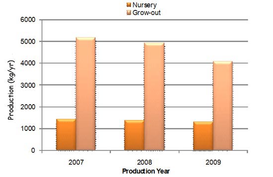 Average fish production in nursery and grow-ort ponds