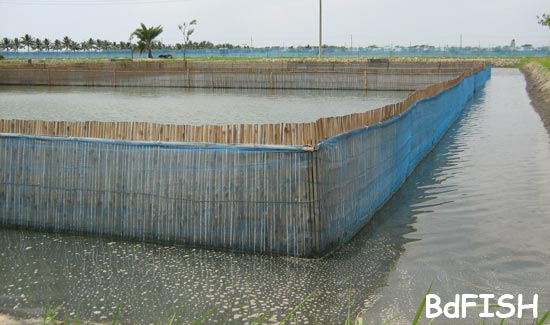 Dyke is protected with bamboo and net made fence in inner side 
