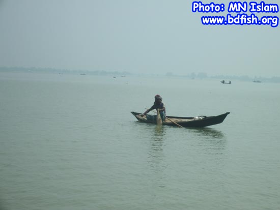 Fishing by net in chalan beel