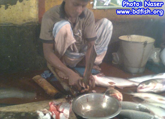 Processing of fish for buyer 