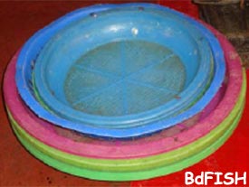 Plastic bowl used for holding live fish