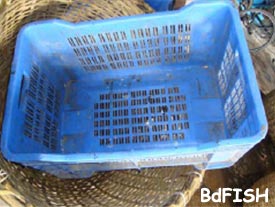 Plastic cage used in fish icing