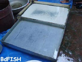 Tray used for holding live fish