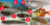 Fishes – BdFISH Feature