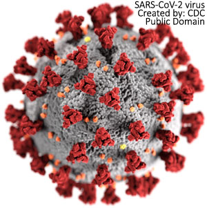 SARS CoV-2 virus